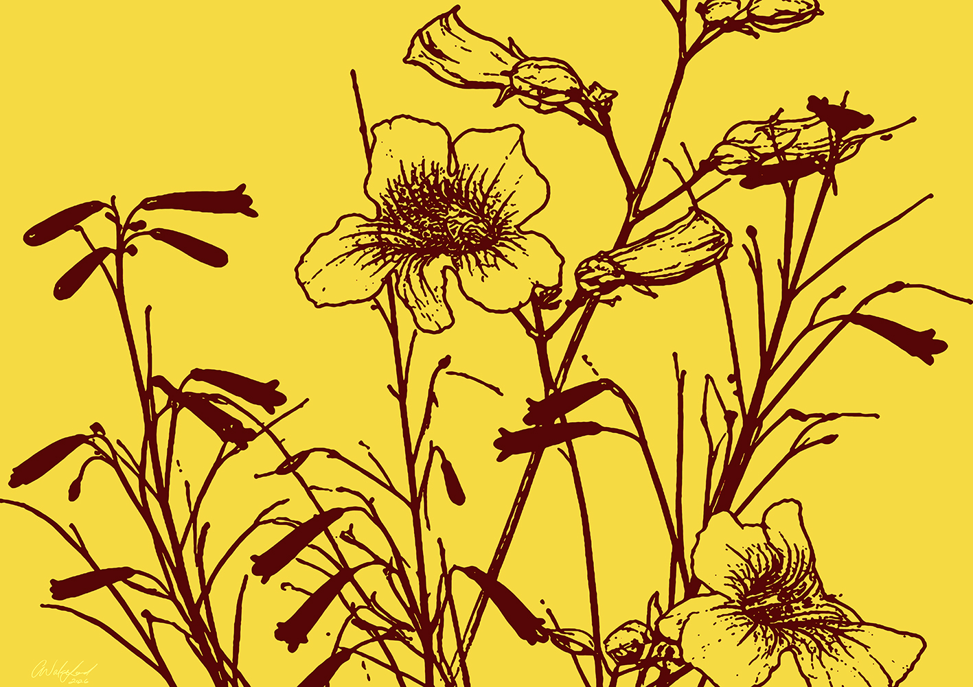 Wildly Happy | Wildflower Botanical Art Print in Yellow 45 x 30 cm