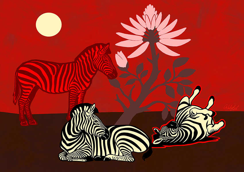 Belly to the Sun II / Large Format Zebra Red Art Print