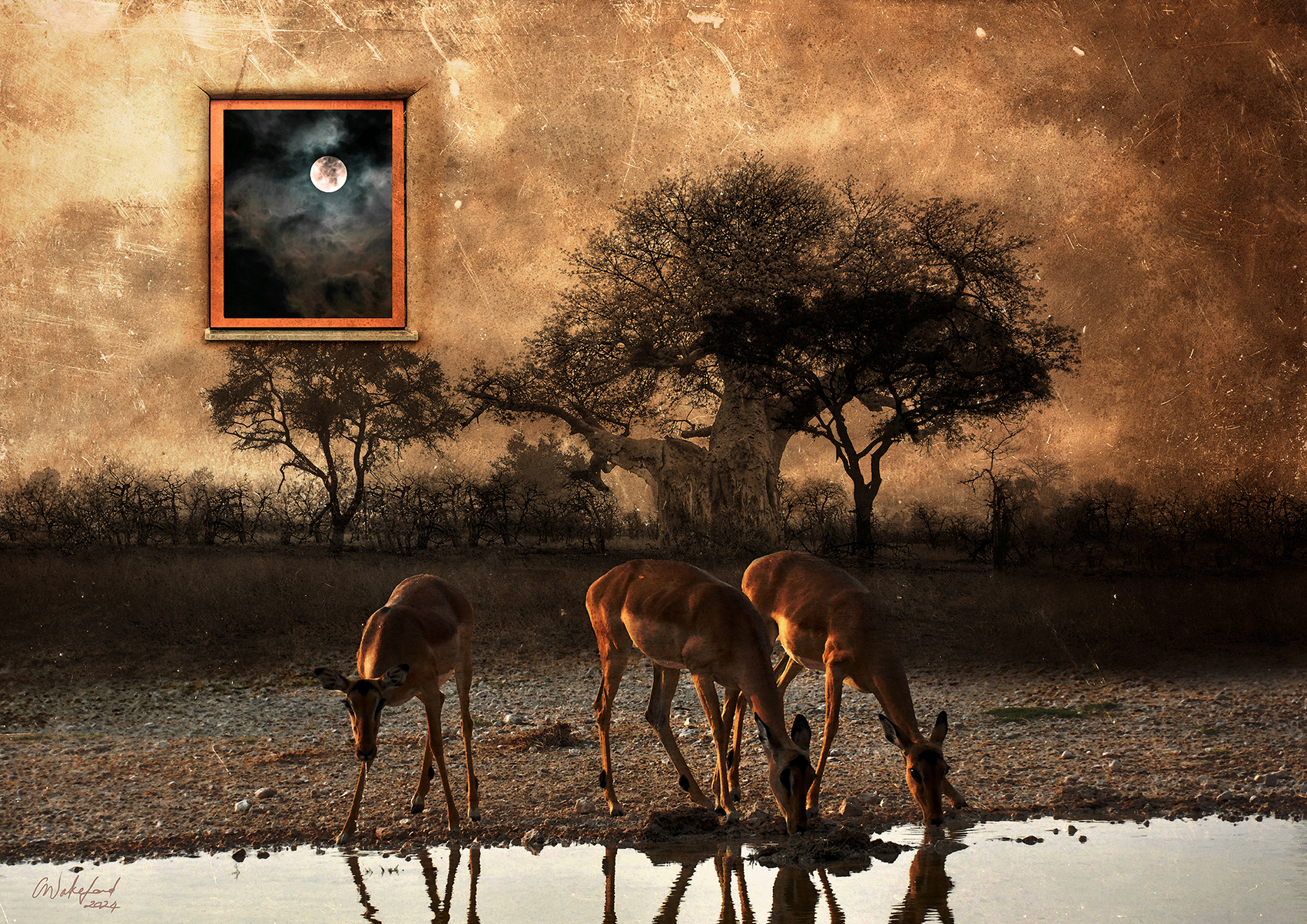 Golden Hour / Nature Fine Art Print A1